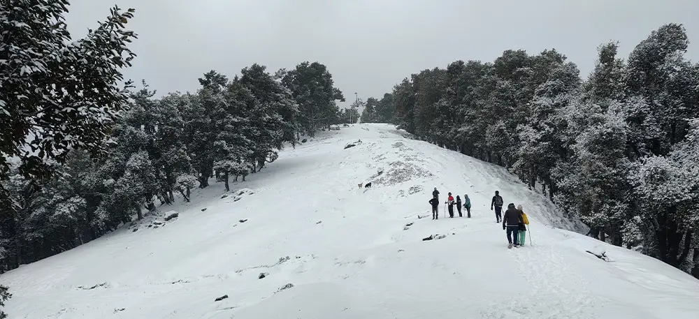 Nag Tibba Trek